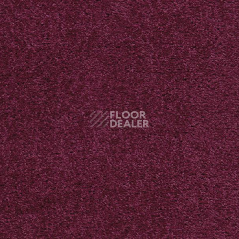Ковролин Balta Smile 195 фото 1 | FLOORDEALER